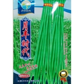 月丰时代豇豆种子80 90厘米粗条厚肉色泽艳丽长豆角江缸豆籽200克