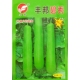 丰邦碧秀瓠子种子蒲瓜瓠瓜保护地露地种植约35厘米夜开花种籽10克