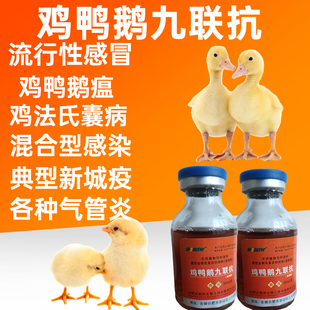 鸡药鸡鸭鹅六联抗禽用鸭鹅抵抗病毒新城疫大肠杆菌鸡瘟感冒口服液