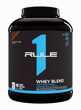 RULE1 WHEY R1 Hydrolyzed protein iso Casein powder水解蛋白粉
