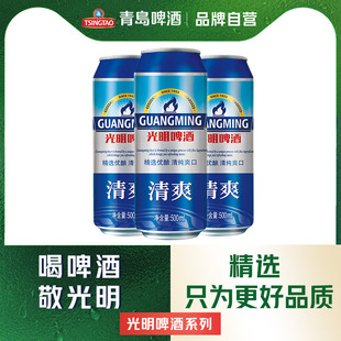 包邮 青岛光明啤酒清爽500ml 24听罐啤整箱