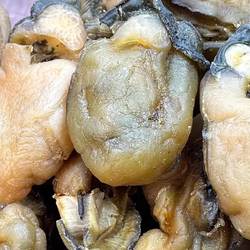 生蚝干500g湛江蚝鼓淡干无沙不抽油带膏海蛎子干牡蛎干蚝肉干煲粥