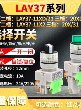 二三档自锁选择开关LAY37-11X2/20X31带灯复位型旋钮Y090电源启动