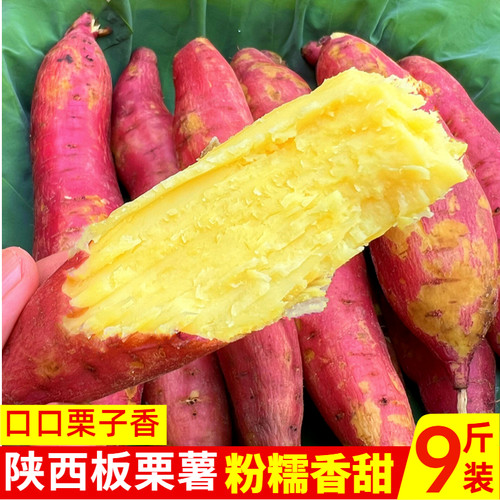 新鲜现挖陕西板栗红干粉面香黄心密薯农家自种爆皮地瓜番薯小香薯