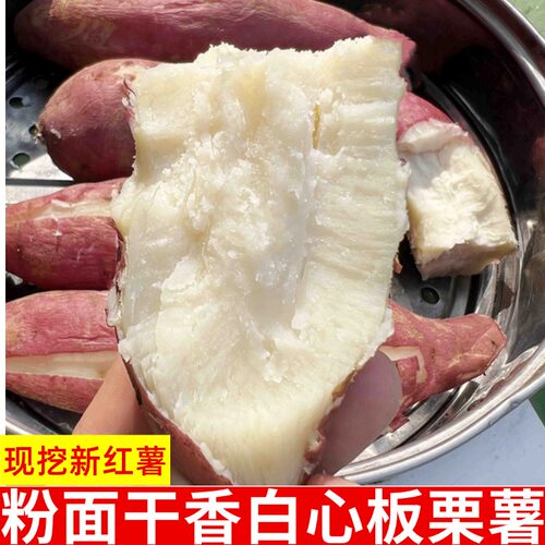 官方推荐农家自种白心板栗红薯