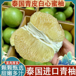 泰国进口青柚字新鲜水果青皮白心蜜柚清甜多汁大果安帕瓦泰国柚子