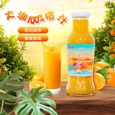 大湖100%橙汁 255ml*6