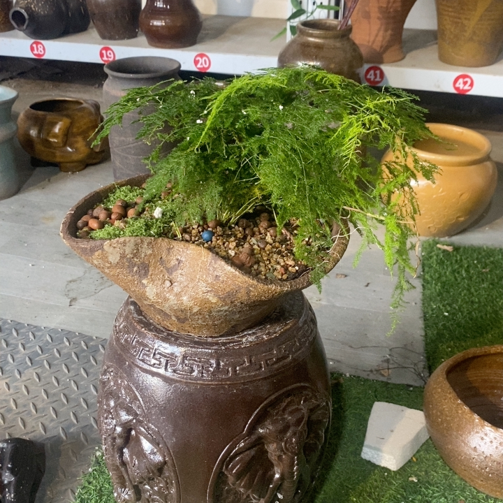 纯手工精品黑陶爱心碟子斗笠卷边盆景盆大颗粒超透气材烧复古特价