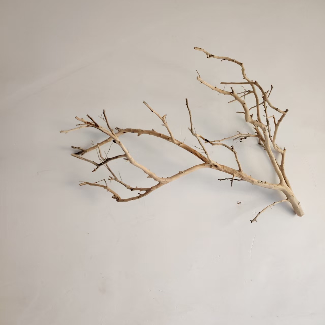 吊灯干枝分枝干树枝装饰