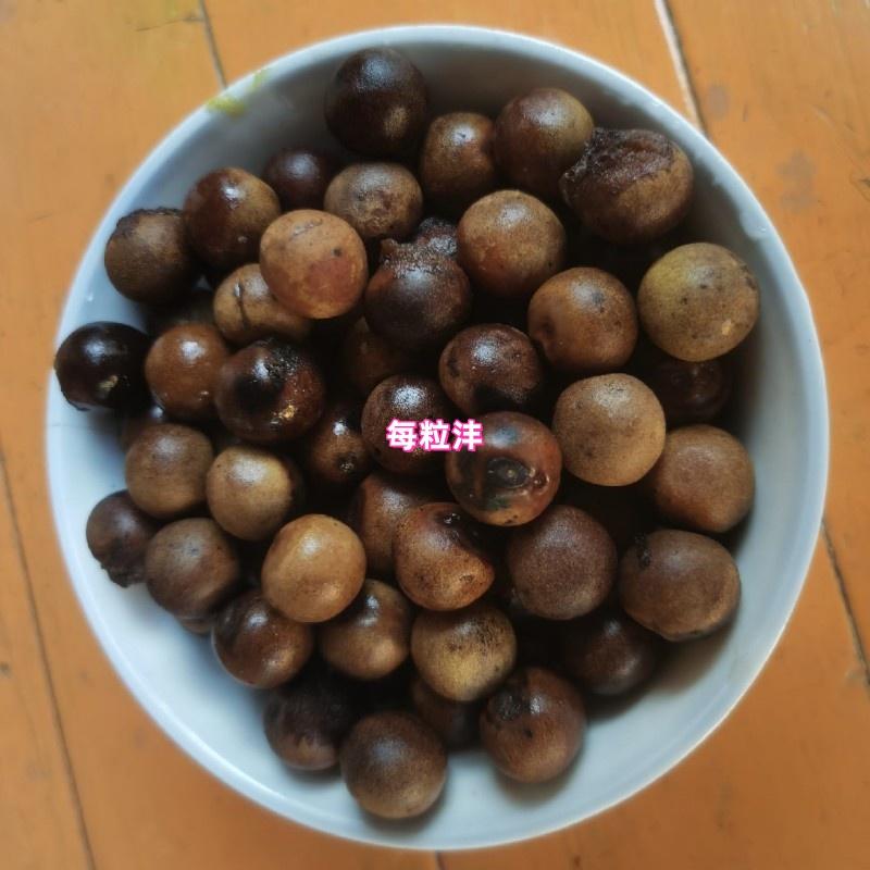 苏芡种子种苗无刺芡实蔬菜