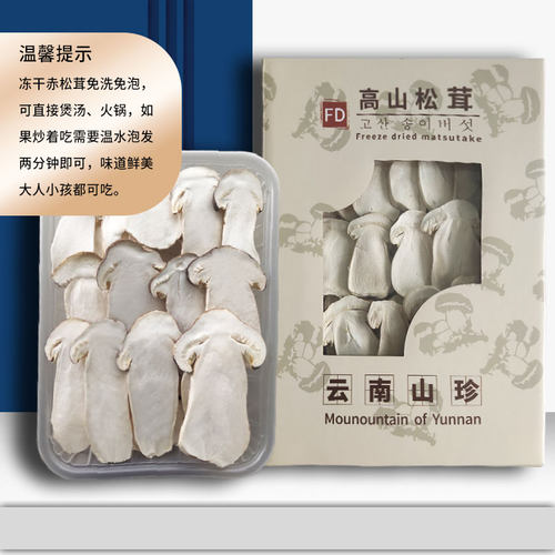 云南高山生长赤松茸美味健康