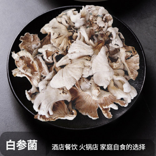 食用菌多彩森众袋装白参菌鸡冠菌