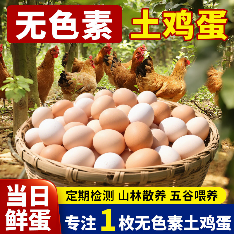 【顺丰次日到】真农家散养土鸡蛋