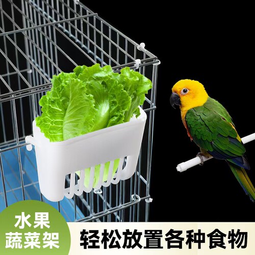 鹦鹉蔬菜架鸟用水果蔬菜篮悬挂菜筐鹦鹉鸟笼配件蔬菜水果架鸟用品