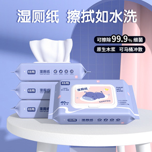 佳燕40抽湿厕纸可降解独立包装 湿纸巾大包清洁抑菌洁厕纸擦屁股