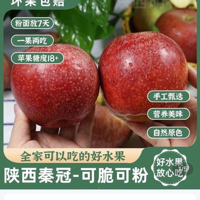 陕西秦冠粉面正宗高山秦冠苹果陕西新鲜水果宝宝批发老人刮泥整箱