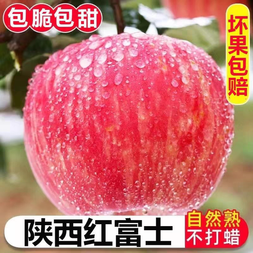 新鲜多汁现发白水洛川高原红富士