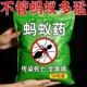 强效蚂蚁药全窝端家用非无毒款 厨房室内野外菜地灭蚁一窝端杀虫剂