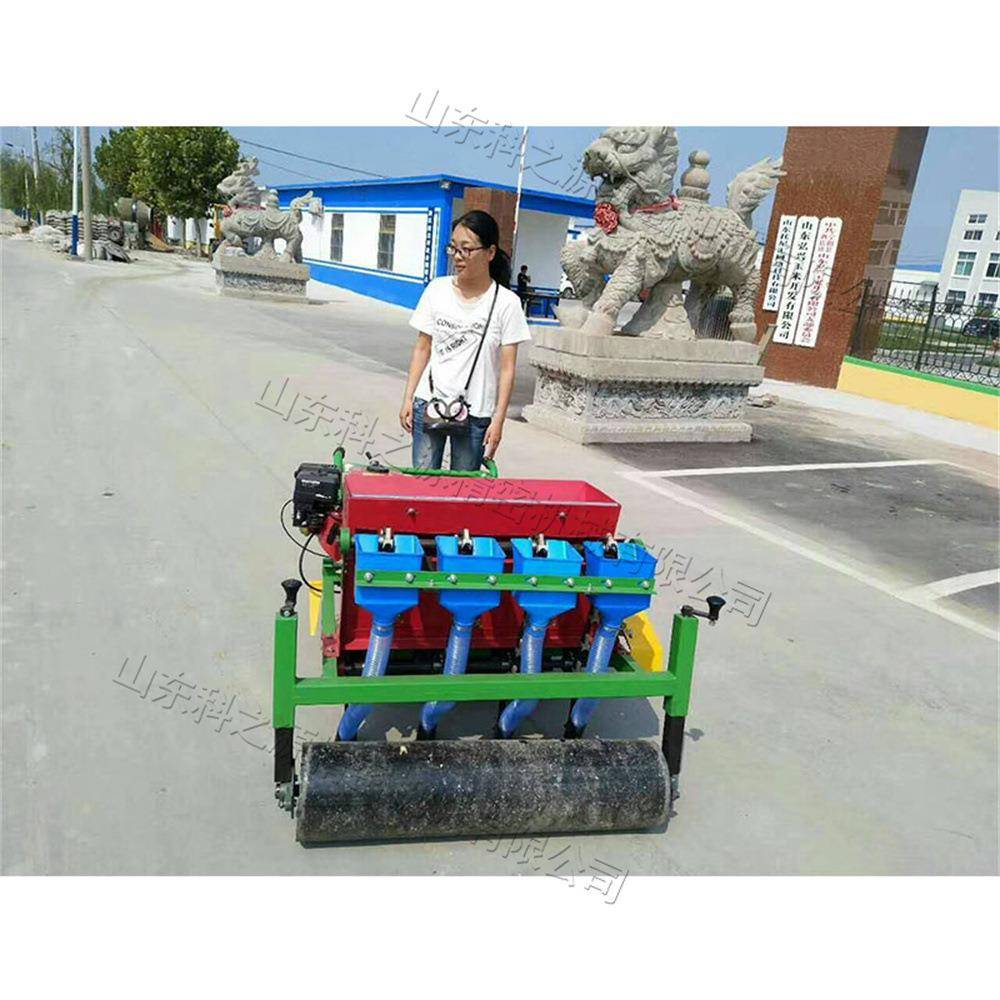 农用自走式大蒜播种机 手推式一体种植机 锥形螺旋导种管大蒜机