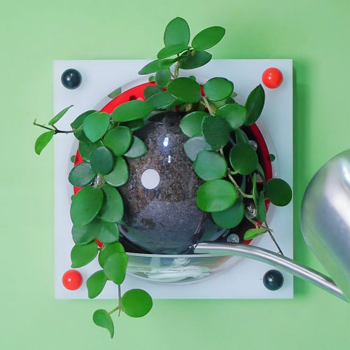 [小号套装]高颜值自吸水可储水