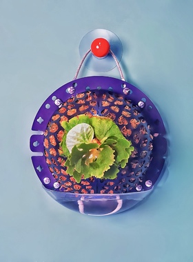 【黑色中号定植板】球兰蝴蝶兰鹿角蕨种植板挂板植上墙神器亚克力