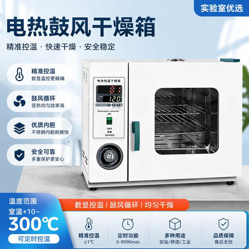 电热鼓风干燥箱工业加热烤箱