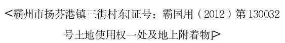 1月8日廊坊土地使用权一处及地上附着物网络拍卖公告