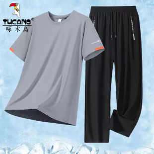 休闲透气长裤 啄木鸟夏季 薄款 男凉感速干排汗运动短袖 健身冰丝套装