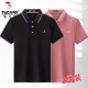 薄款 夏季 透气翻领百搭体恤青年 t恤商务舒适polo衫 啄木鸟冰丝短袖
