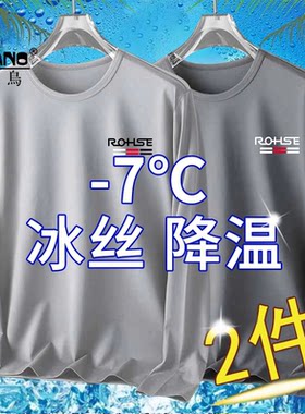 啄木鸟夏季吸汗网眼速干衣冰丝长袖t恤男士薄款运动休闲大码上衣