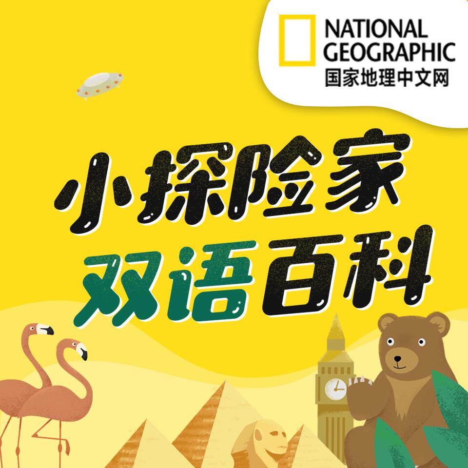 [Time limit Ex gratia 7 Himalayan National Geographic Chinese network Explorers Bilingual Encyclopediasin the Network game cards , Live video, X- Himalayan FM category - from Buy2taobao.com to provide professional Taobao agent buy service