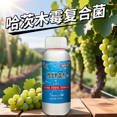 迎东哈茨木霉菌复合微生物菌剂