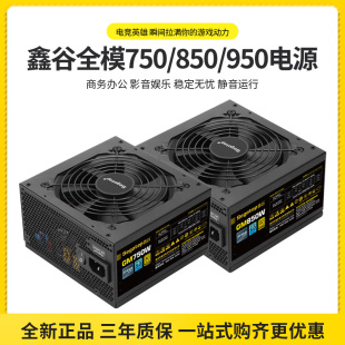 玩嘉电源钽VP 880大水牛300W600W700W鑫谷850W 500额定500W铜牌CP