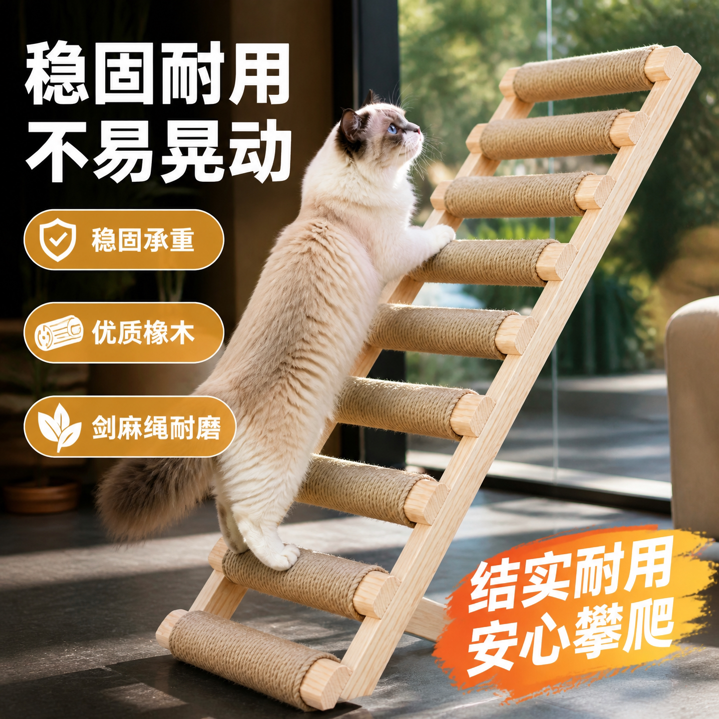 猫笼内小梯子爬梯猫梯子爬墙挂梯宠物猫咪楼梯斜坡阶梯猫爬架专用