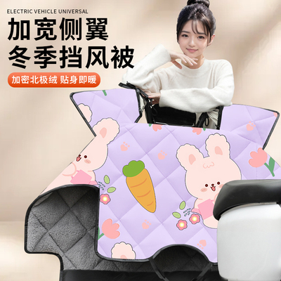 小型电瓶车/冬款小号加绒挡风被