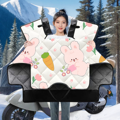 专用爱玛悠乐Yolo电动车挡风被