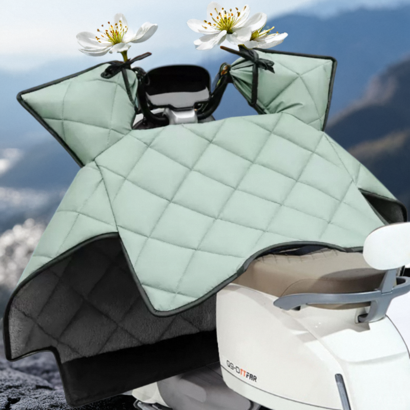 专用25款小牛NXpro电摩电动车