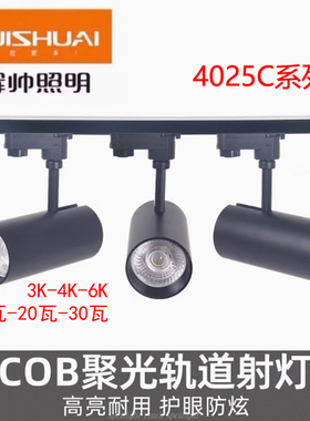 辉帅led射灯4025C轨道射灯10w20w30w服装店背景墙展厅射灯4033