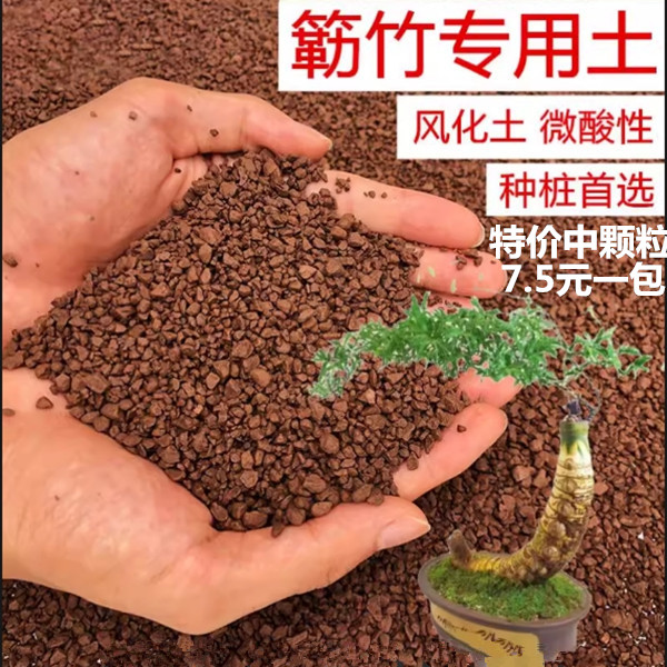 小叶簕竹专用土酸性土壤