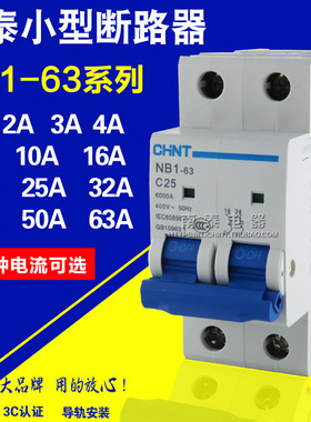 正品 正泰断路器 NB1-63 2P C1-63A 6A 10A 4A16A20A25A32A40A63A