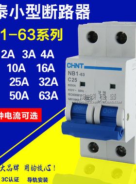 CHNT正泰 断路器 NB1-63 2P C1-63A 2A3A4A6A10A16A20A25A32A40A