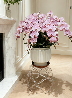 亚克力花架大花盆专用托架艺术花几透明大盆景盆栽摆放架客厅落地