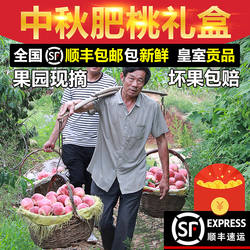 【顺丰现货包邮】2025农家果园正宗肥城肥桃脆甜桃中华寿桃