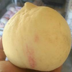 2025现摘农家果园正宗肥城肥桃新鲜孕妇水果脆甜桃中华寿桃