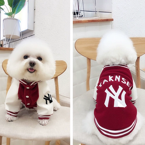 Модная собачья одежда маленькая собака Тедди Бишон Бой