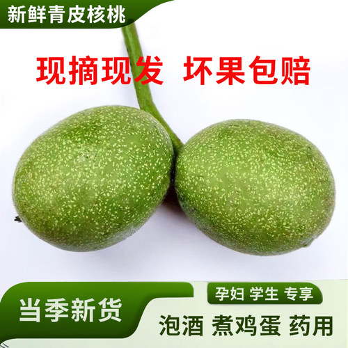 2026新鲜现摘新鲜湿核桃