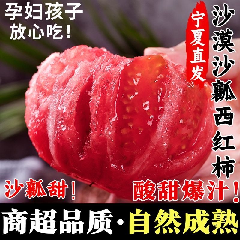 宁夏沙漠露天种植沙瓤西红柿