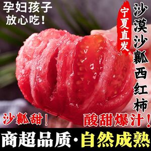 宁夏沙漠露天种植沙瓤西红柿