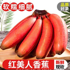新鲜红皮红美人香蕉水果直发