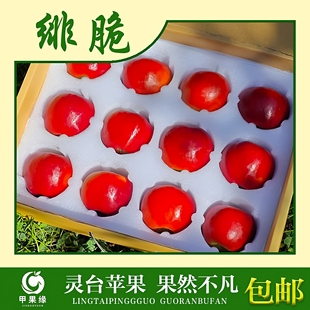 甲果缘甘肃平凉灵台绯脆苹果水果应该当季酸甜可口汁液丰富大果